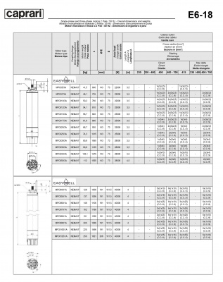 Двигатели для скважинных насосов Caprari MPC10125/1A