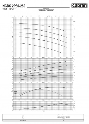 Одноступенчатые горизонтальные центробежные насосы Caprari NCDS 2P80-250 3450