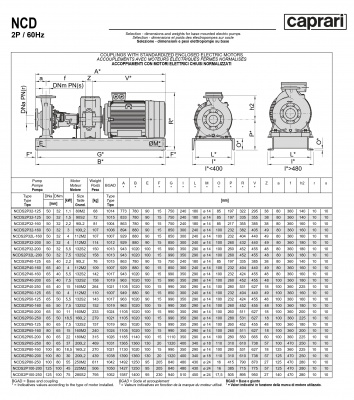 Одноступенчатые горизонтальные центробежные насосы Caprari NCDS 2P100-250 3450