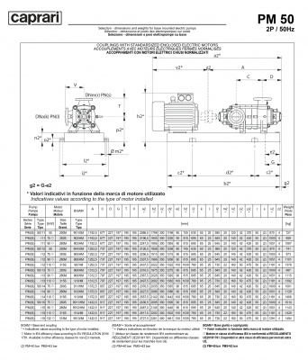 Горизонтальные многоступенчатые насосы высокого давления Caprari PM 50 2200