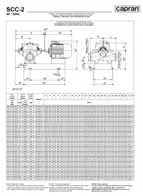 Горизонтальные насосы двустороннего входа Caprari SCC-2-125-350 1450