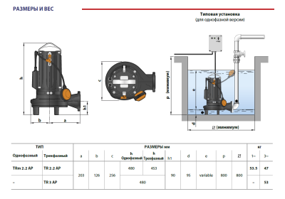 Погружной фекальный дренажный насос Pedrollo TRITUS TRm 2.2 AP из чугуна с измельчителем из нержавеющей стали
