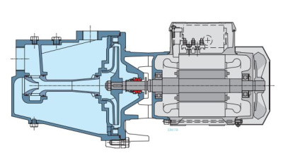 Поверхностный самовсасывающий одноступенчатый насос Calpeda BNG 3/A