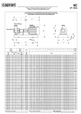 Одноступенчатые горизонтальные центробежные насосы Caprari NC 40-160 1450