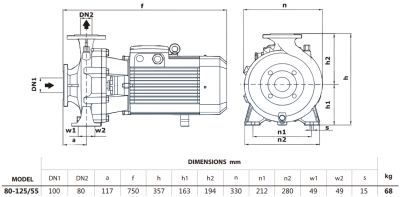 Центробежный насос Purity PSTG-R5 80-125/55