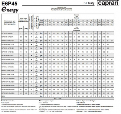 Скважинные насосы Caprari E6P45 из чугуна