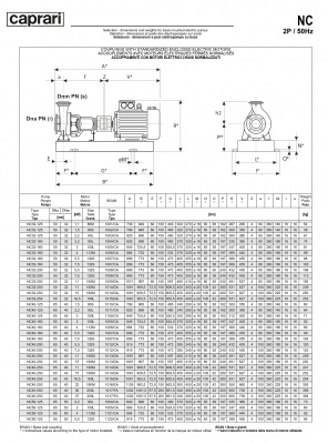 Одноступенчатые горизонтальные центробежные насосы Caprari NC 40-250 2900