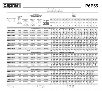 Вертикальные полупогружные насосы Caprari P6P55