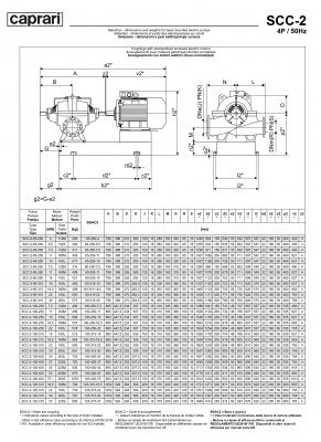 Горизонтальные насосы двустороннего входа Caprari SCC-2-65-250 2900