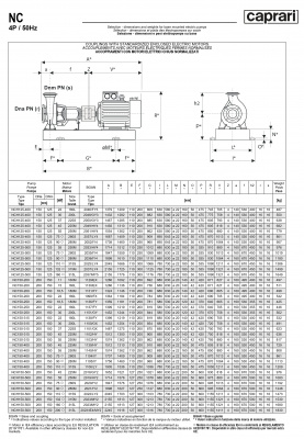 Одноступенчатые горизонтальные центробежные насосы Caprari NC 150-200 1450