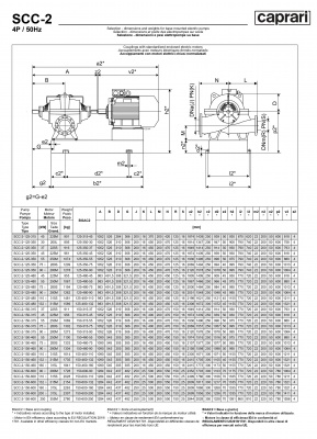 Горизонтальные насосы двустороннего входа Caprari SCC-2-150-315 1450