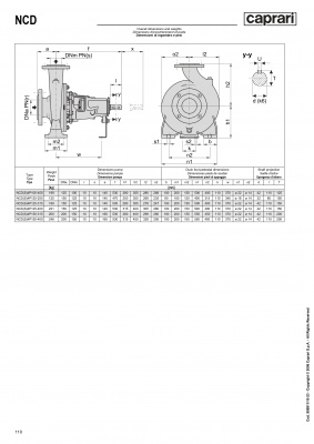 Одноступенчатые горизонтальные центробежные насосы Caprari NCDS 4P150-400 1750