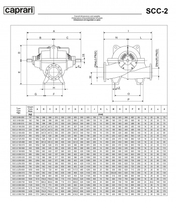 Горизонтальные насосы двустороннего входа Caprari SCC-2-100-250 2900