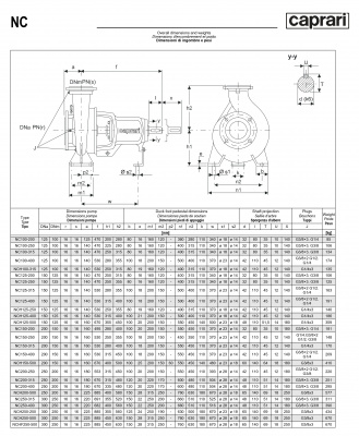 Одноступенчатые горизонтальные центробежные насосы Caprari NC 125-400 1450