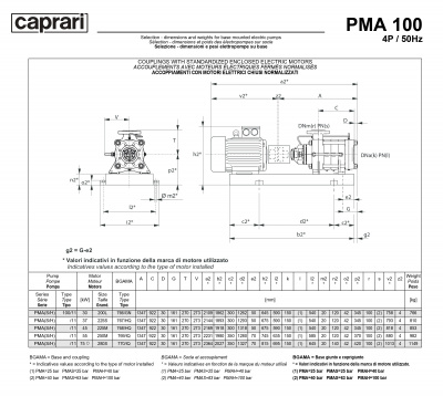 Горизонтальные многоступенчатые насосы высокого давления Caprari PMA 100 1450