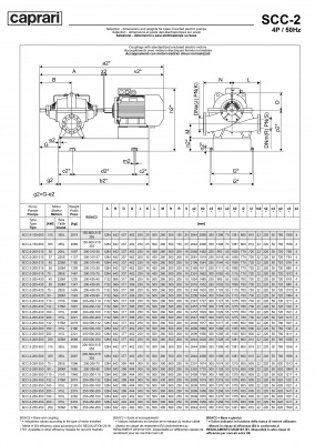 Горизонтальные насосы двустороннего входа Caprari SCC-2-250-350 1450