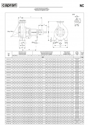 Одноступенчатые горизонтальные центробежные насосы Caprari NC 40-160 1450