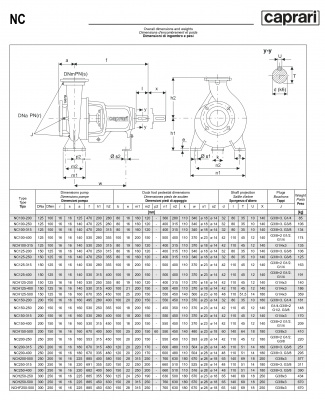 Одноступенчатые горизонтальные центробежные насосы Caprari NC 150-250 1450