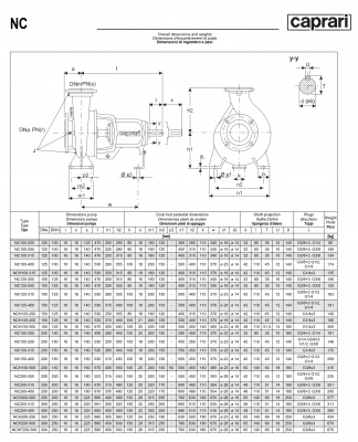 Одноступенчатые горизонтальные центробежные насосы Caprari NC 100-250 2900