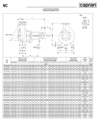 Одноступенчатые горизонтальные центробежные насосы Caprari NC 200-250 1450