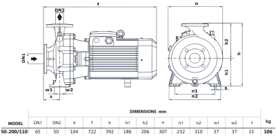 Центробежный насос Purity PSTG-R5 50-200/110