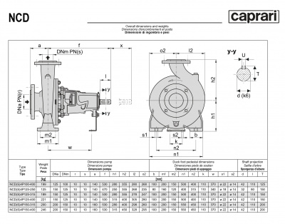 Одноступенчатые горизонтальные центробежные насосы Caprari NCDS 4P125-250 1750