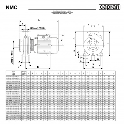 Поверхностные одноступенчатые консольно-моноблочные насосы Caprari NMC 100 4P