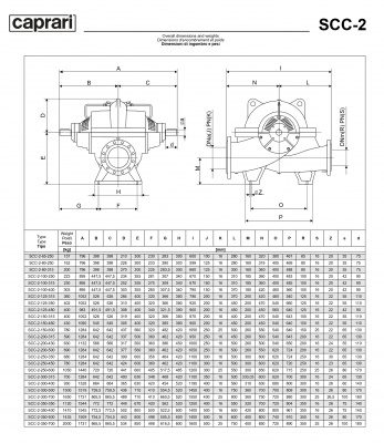 Горизонтальные насосы двустороннего входа Caprari SCC-2-350-400 1450