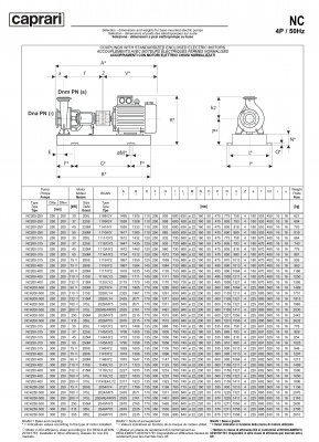 Одноступенчатые горизонтальные центробежные насосы Caprari NCH 200-500 1450