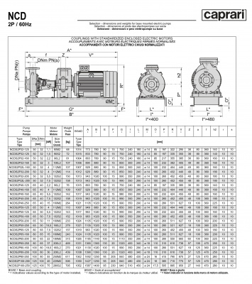 Одноступенчатые горизонтальные центробежные насосы Caprari NCDS 2P32L-160 3450