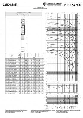 Скважинные насосы Caprari E10PX200 из нержавеющей стали