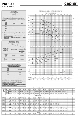 Горизонтальные многоступенчатые насосы высокого давления Caprari PM 100 1750