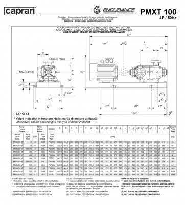 Горизонтальные секционные насосы высокого давления Caprari PMXT 100 2200 из нержавеющей стали