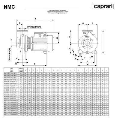 Поверхностные одноступенчатые консольно-моноблочные насосы Caprari NMC 125 4P