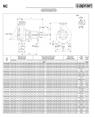 Одноступенчатые горизонтальные центробежные насосы Caprari NC 100-200 2900