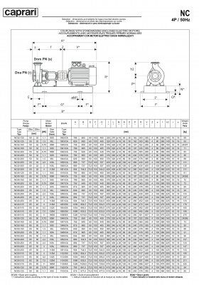 Одноступенчатые горизонтальные центробежные насосы Caprari NC 32-200 2900