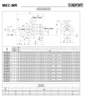Горизонтальные многоступенчатые насосы Caprari MEC-MR 2400