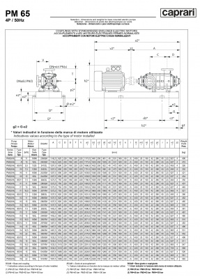 Горизонтальные многоступенчатые насосы высокого давления Caprari PM 65 2200