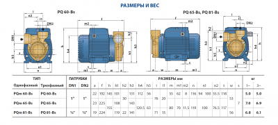 Поверхностный вихревой насос Pedrollo PQ 65-Bs