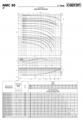 Поверхностные одноступенчатые консольно-моноблочные насосы Caprari NMC 80 4P