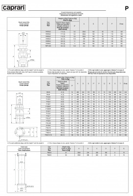 Вертикальные полупогружные насосы Caprari P10F