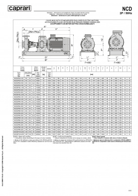 Одноступенчатые горизонтальные центробежные насосы Caprari NCD 2P100-250 2900