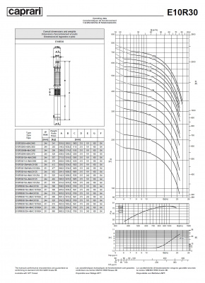 Скважинные насосы Caprari E10R30 из чугуна