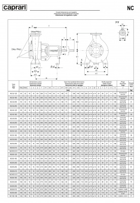 Одноступенчатые горизонтальные центробежные насосы Caprari NC 50-250 2900