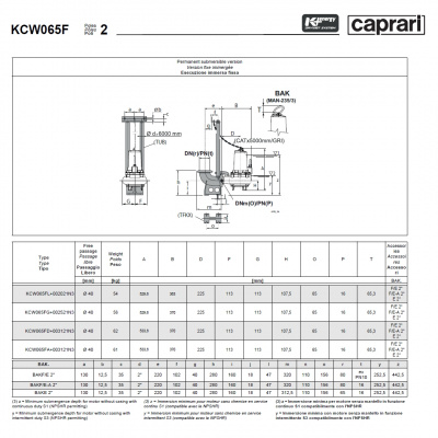 Погружные канализационные элктронасосы Caprari KCW065F