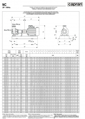 Одноступенчатые горизонтальные центробежные насосы Caprari NC 65-160 2900