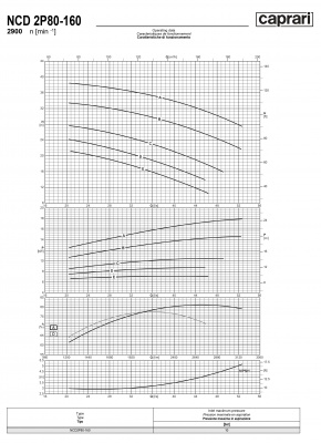 Одноступенчатые горизонтальные центробежные насосы Caprari NCD 2P80-160 2900