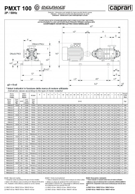 Горизонтальные секционные насосы высокого давления Caprari PMXT 100 2900 из нержавеющей стали