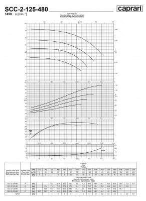 Горизонтальные насосы двустороннего входа Caprari SCC-2-125-480 1450