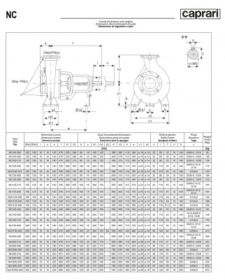 Одноступенчатые горизонтальные центробежные насосы Caprari NCHF 250-500 950